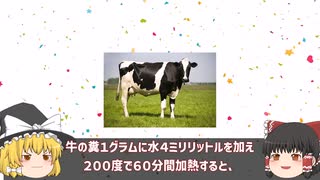 【ゆっくり解説】牛のフンからバニラの香り抽出でイグノーベル賞受賞【イグノーベル賞/山本麻由】