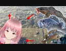 北海道遠征！！