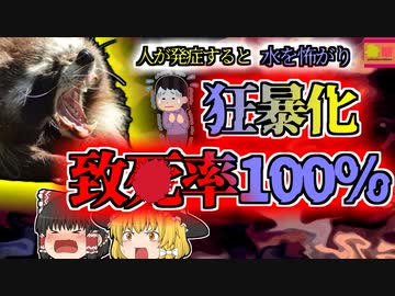 【2011年ｱﾒﾘｶ】発症したら絶対に助からない 狂暴になり水を怖がる奇病 原因は『アライグマ』？【ゆっくり解説】