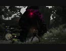 【Dragon’s Dogma  ドラゴンズドグマ】セクシー女戦士＃15　ポーンの夢