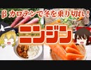 【ゆっくり解説】ニンジンの栄養について解説！