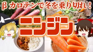 【ゆっくり解説】ニンジンの栄養について解説！