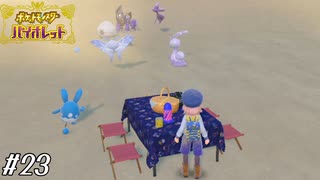 みんなで砂ジャリジャリサンドウィッチ食おうぜ！【ポケモンV実況#23】