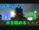 【バカゲー】たまには・・・ゆったりしませんか？【Tree Simulator 2022】