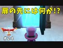 #24 【ドラゴンクエストⅩオフライン】寄り道しつつ、ストーリーを進めよう！【目覚めし五つの種族】※ネタバレ注意