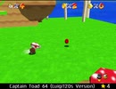 紹介するほどでもない改造マリオ64シリーズ【Captain Toad 64 (Luigi120s Version)編】