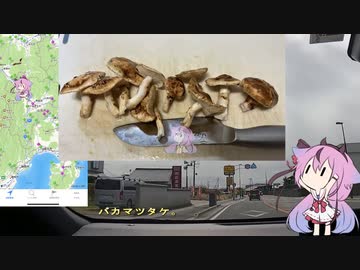 珍食材お買い物旅！#24　山梨編