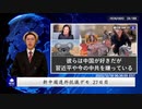 新中国連邦抗議デモ　27日目