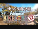 【自転車】ゆっくり道中記 秋ヶ瀬の森バイクロア 12 編