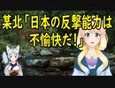 日本の敵基地反撃能力について、北朝鮮が不愉快だと批判。【世界の〇〇にゅーす】