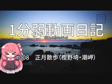 【1分弱動画日記】正月散歩（樫野埼・潮岬）【＃008】