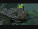 【アーカイブ】ゼルダの伝説 ブレス オブ ザ ワイルドを楽しむ 58話目【人生初・おまけ】