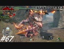 【実況】ぜんぶ狩人が愚かなせい #67 ～にんじんピーマンたまねぎ～【MHRise:SB】