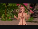 【DoaX3】グラビアパラダイスランダム