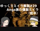 【ゆっくり解説】パプアニューギニアの燻製ミイラ【Anga Mummy】(前半)