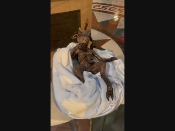 バフォメット先輩