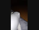 Songableを歌うねむねむ