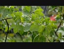 目を覚ましていなさい