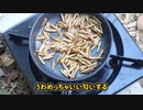 【未来の昆虫食】本物のSDGs・アメリカミズアブを採って食う
