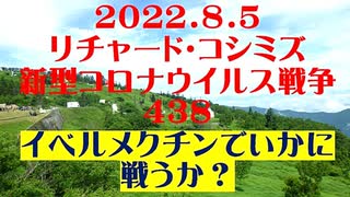 【2022年08月05日：リチャード・コシミズ  Internet 講演（ 改良版 ）】