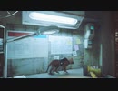 ねこニャーニャー【Stray】#10
