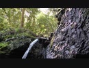 mov_hts-samp005
