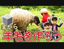 【目指せスティーブ】羊から羊毛ブロックをつくろう！［HDリマスター版］