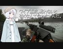 【EFT/タルコフ】AK74N 今必要なのはお金じゃない。経験だ。【COEIROINK】【ナコ実況】