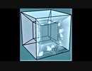 【NNIオリジナル】Tesseract