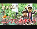 【目指せスティーブ】畑でニンジンをつくろう！［HDリマスター版］