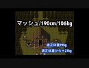 【FF4/FF5/FF6】メインキャラたちの体重【ファイナルファンタジー/スーパーファミコン】