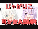 【コメ付き】じゃがりこ耳かきASMR【ホロライブ切り抜き】