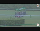 【ウマ娘】サジタリウス杯グレートBグループ決勝戦 横画面