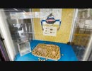 【ノーナレ動物動画】　UFOキャッチャーでチンパンジーと共同作業　Working with chimpanzees in a crane machine【池田動物園】