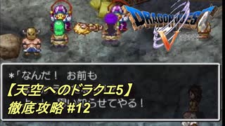 【天空へのドラクエ5】徹底攻略_12