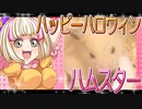 キンクマハムスターの日常。