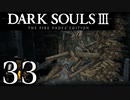 【DARK SOULS3 THE FIRE FADES EDITION】1、2をプレイしてからのダークソウル3 part33【初見実況】
