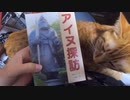 アイヌとは何なのか知る為に北海道へ「アイヌ探訪」