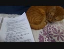 同和地区への特別対策は今も存在する　 隠れ同和事業が存在する証拠の文書