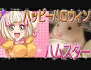 キンクマハムスターの日常。3