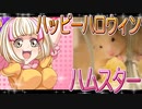 キンクマハムスターの日常。4
