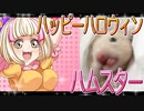 キンクマハムスターの日常。5
