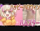 キンクマハムスターの日常。6