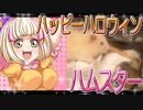 キンクマハムスターの日常。7