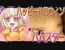 キンクマハムスターの日常。9