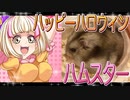 ジャンガリアンハムスターの日常。