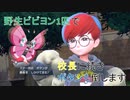 野生のビビヨン1匹でブイズ使いボタンを倒します[つくよみちゃん実況]