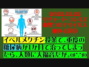 【2022年12月22日：リチャード・コシミズ Internet 講演 （ ニコニコ生放送 ）（ 改良版 ）】