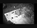 【NNIオリジナル】Do Not Disturb