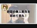 野菜の無人販売を初めて見た！【のりたまカフェ･雑談】